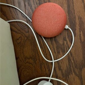Google Nest Mini Smart Speaker - Coral